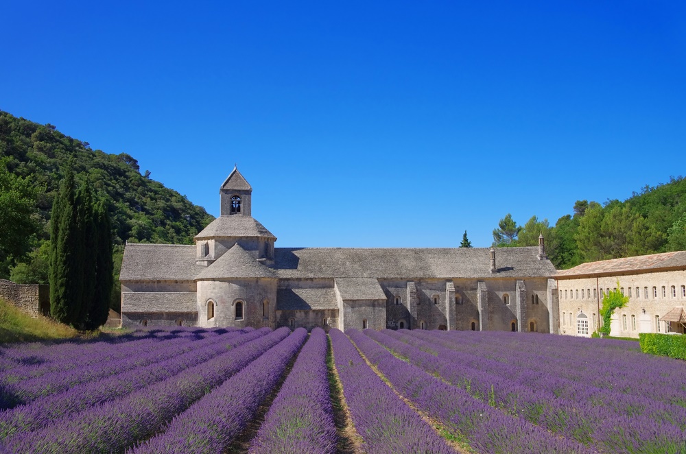 senanque-abbey-lavender